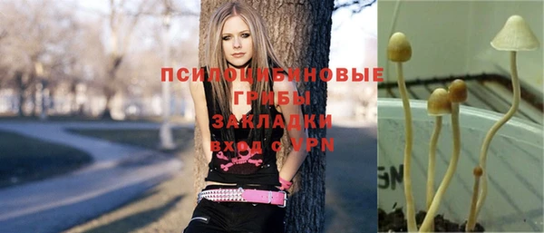 мет Алексин