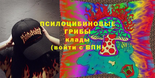 амф Алексеевка