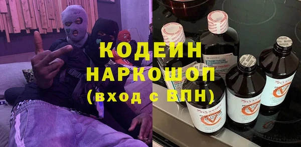 мет Алексин