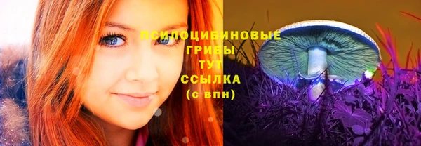 амф Алексеевка