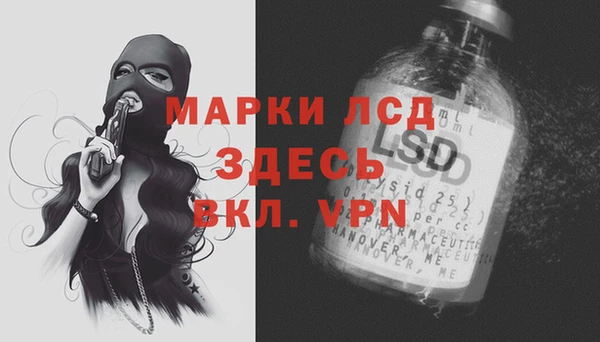 ПСИЛОЦИБИНОВЫЕ ГРИБЫ Алзамай